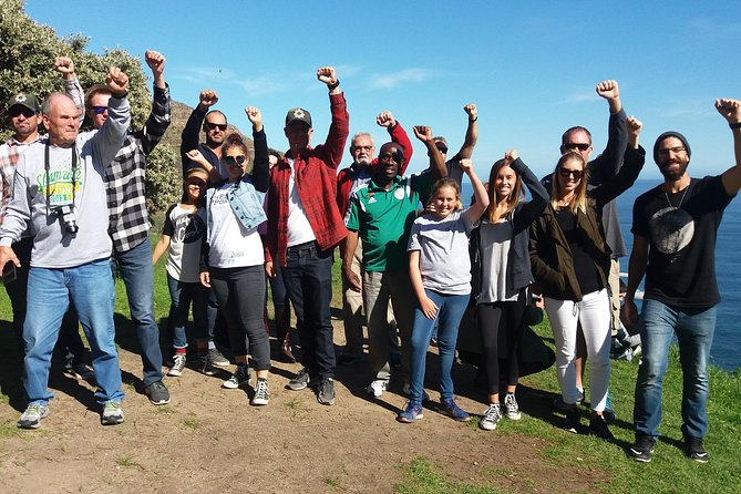 Small Group Cape Of Good Hope Penguins Wine Tasting Inc Park Fees - Atlantic beaches and mountain views from Clifton to Llandudno