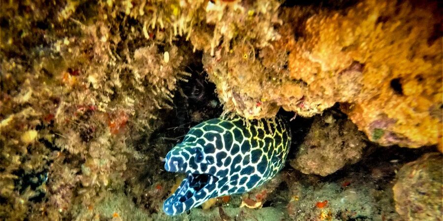 St. Lucia: Cape Vidal Snorkeling Adventure - What happens on the beach before you enter the water