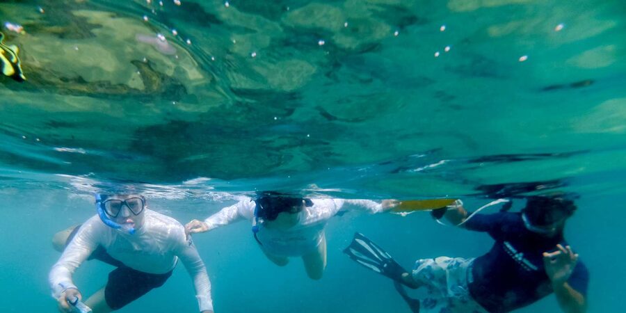 St. Lucia: Cape Vidal Snorkeling Adventure - One to 1.5 hours among fish, rays, and wreck remains