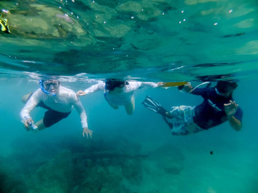 St. Lucia: Cape Vidal Snorkeling Adventure - Tide times matter more than your preferred schedule