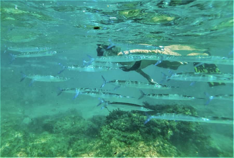 St. Lucia: Cape Vidal Snorkeling Adventure - The one-hour journey from St. Lucia