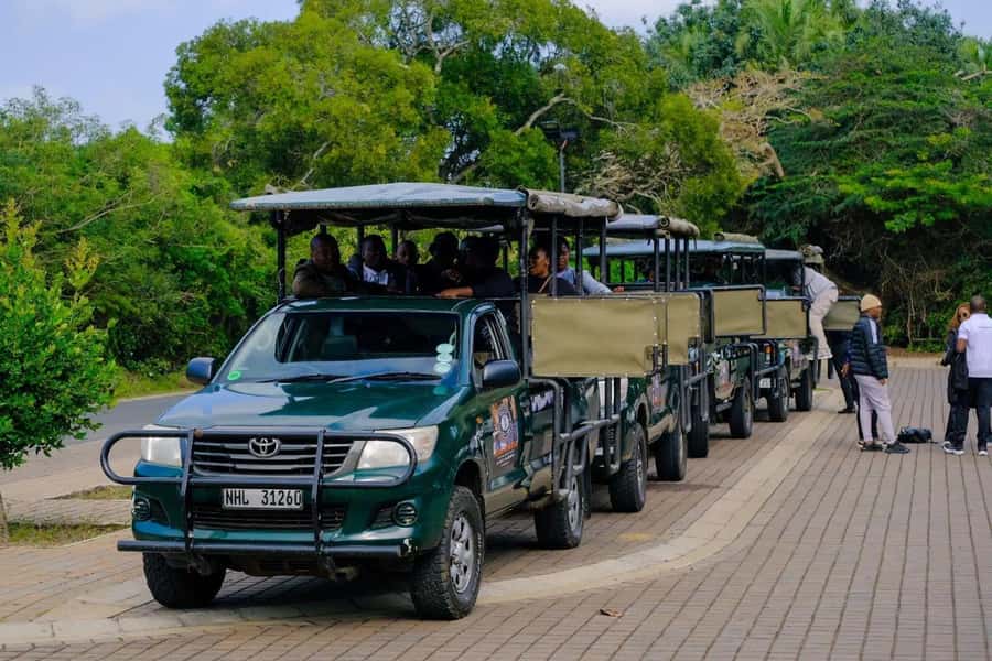 St Lucia: iSimangaliso Wetland Park: Full-Day/Half-Day Tour - Starting in St Lucia at 8:00am