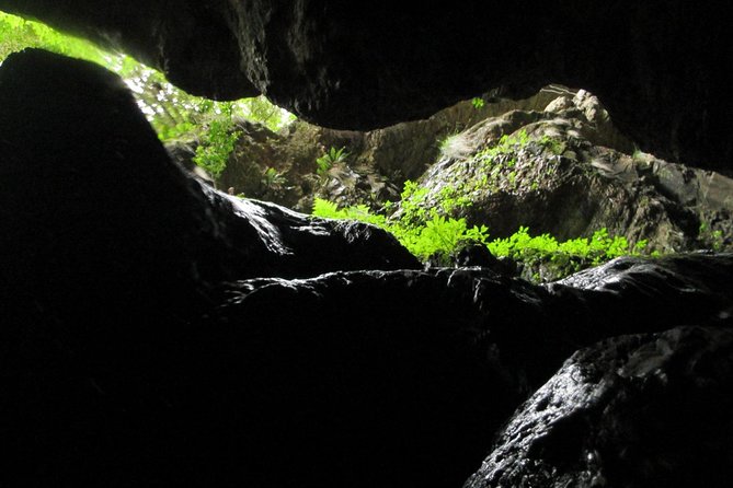 Standard Canyoning Trip in The Crags, South Africa - Rappelling down the 25-meter waterfall
