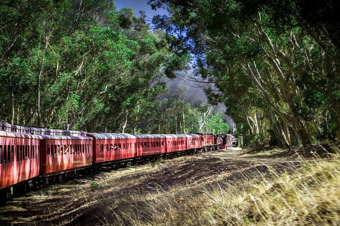 Steam Train to Elgin Railway Market - The return journey and the steam question