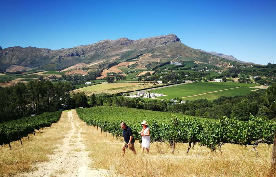Stellenbosch: 4x4 Winelands Private Experience - The first viewpoints and vineyard roads