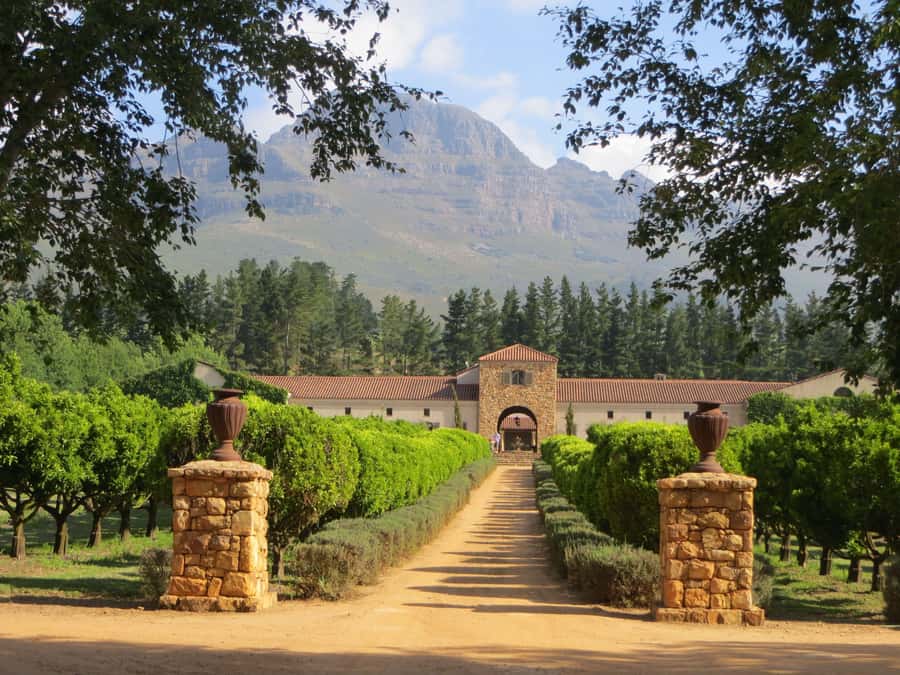 Stellenbosch: All-inclusive Private Wine Tour & Tastings - Key points at a glance