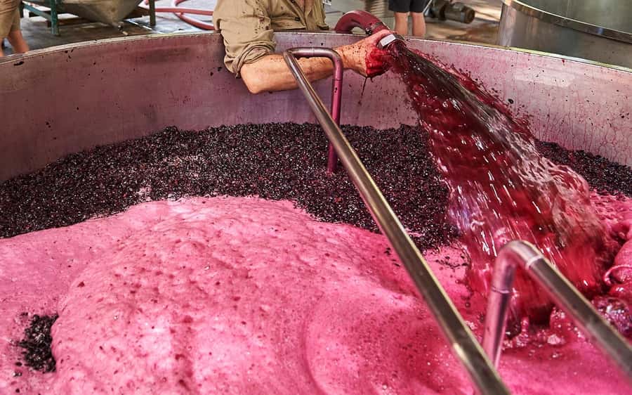 Stellenbosch: All-inclusive Private Wine Tour & Tastings - A closer look at the six-and-a-half-hour pace