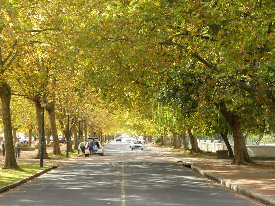 Stellenbosch: All-inclusive Private Wine Tour & Tastings - Is $158 per person a fair price?