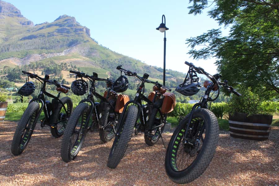 Stellenbosch: Countryside Banhoek valley E-Bike Wine Tour - Key points to know before you book
