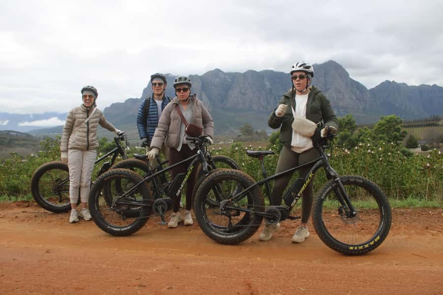 Stellenbosch: Countryside Banhoek valley E-Bike Wine Tour - Price, timing, and what you need to bring