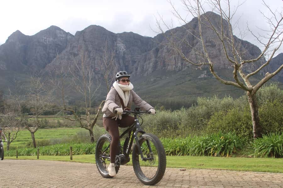 Stellenbosch: Countryside Banhoek valley E-Bike Wine Tour - Who will enjoy this Stellenbosch outing most