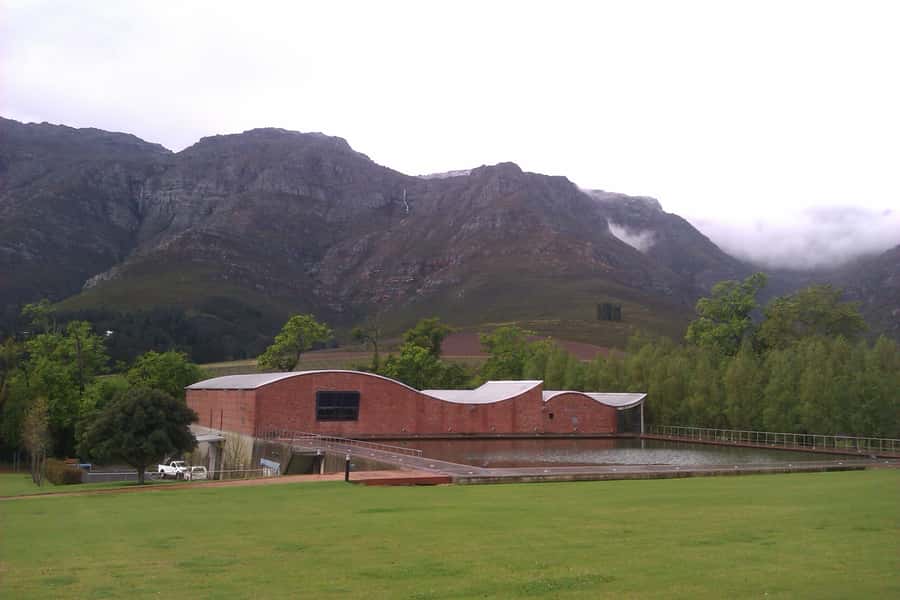 Stellenbosch: Daily Diffirent small group full day wine tour - Rustenberg Wines: an early introduction to the region
