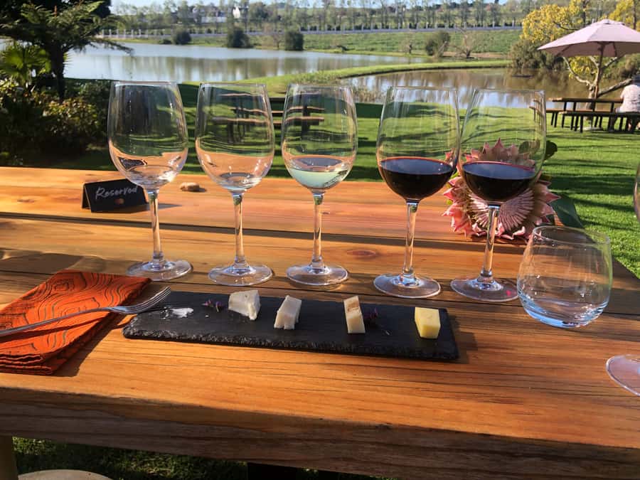 Stellenbosch: Daily Diffirent small group full day wine tour - Dornier Wine Estate brings the day to a close
