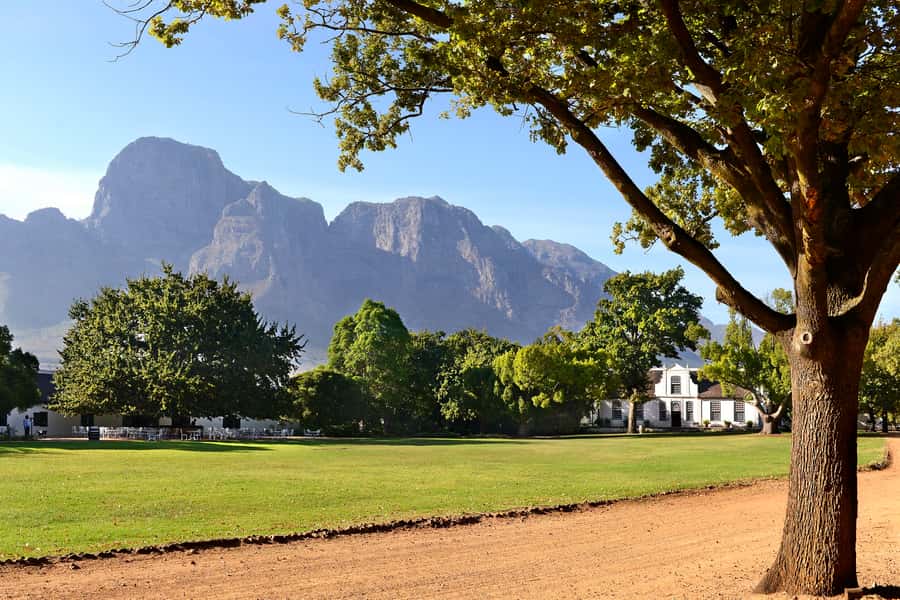 Stellenbosch: Eastern Route Hop-On Hop-Off Wine Tour - Key points to know before you book