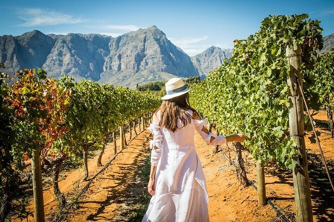 Stellenbosch & Franschhoek Wine Tasting Private Tour incl. Lunch - A full day from Cape Town, with the driving handled