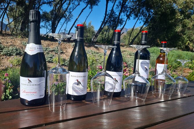 Stellenbosch & Franschhoek Wine Tasting Private Tour incl. Lunch - Who will get the most from this Winelands day
