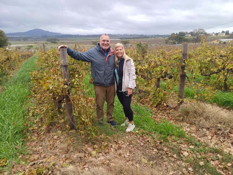 Stellenbosch, Franshoek ,Paarl Region (20 wine tastings) - Key things to know before you go