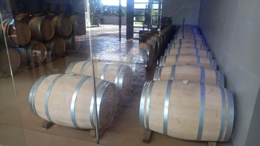 Stellenbosch, Franshoek ,Paarl Region (20 wine tastings) - Tokara for red wine, olive oil, and broad views