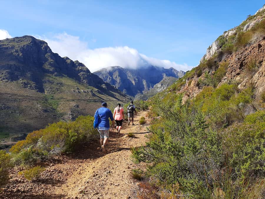 Stellenbosch: Half-Day Guided Nature Hike and Wine Tasting - A mountain walk before the wine