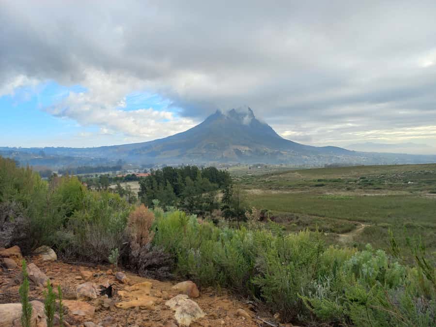 Stellenbosch: Half-Day Guided Nature Hike and Wine Tasting - Meeting at Bethlehem Farm in Kylemore