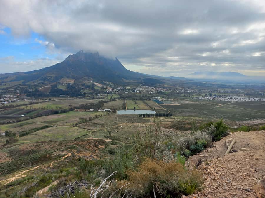 Stellenbosch: Half-Day Guided Nature Hike and Wine Tasting - Walking through Banhoek Conservancy