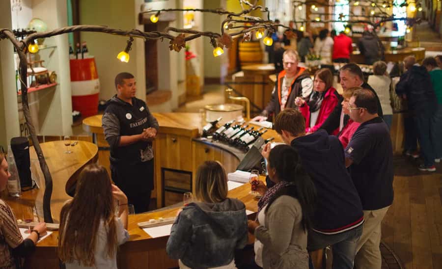 Stellenbosch: Half-Day Wine Tour - The Cape Town pickup and the road into wine country