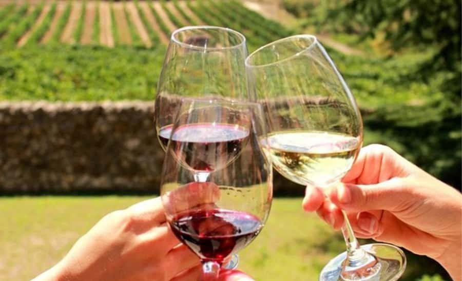 Stellenbosch: Half-Day Wine Tour - The second vineyard: biltong, chocolate, and a different mood