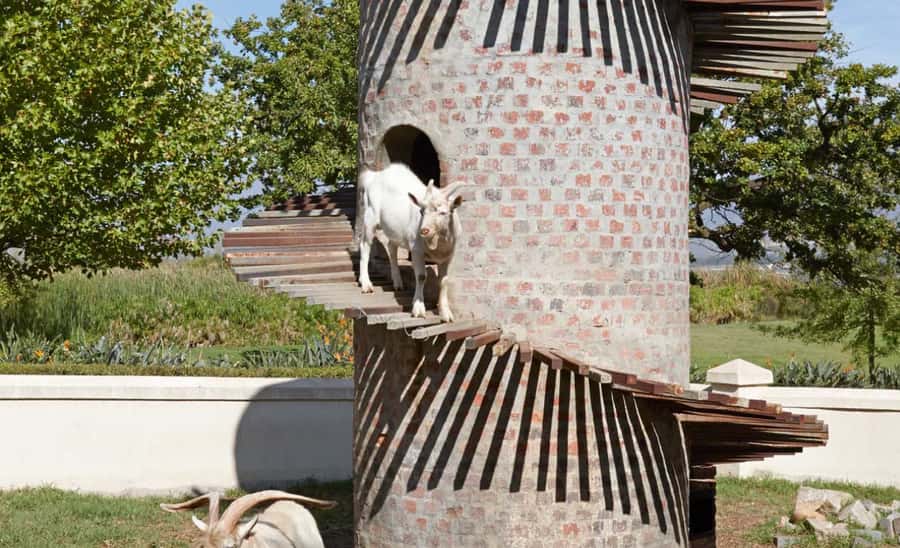 Stellenbosch: Half-Day Wine Tour - Is $55 good value for five hours?