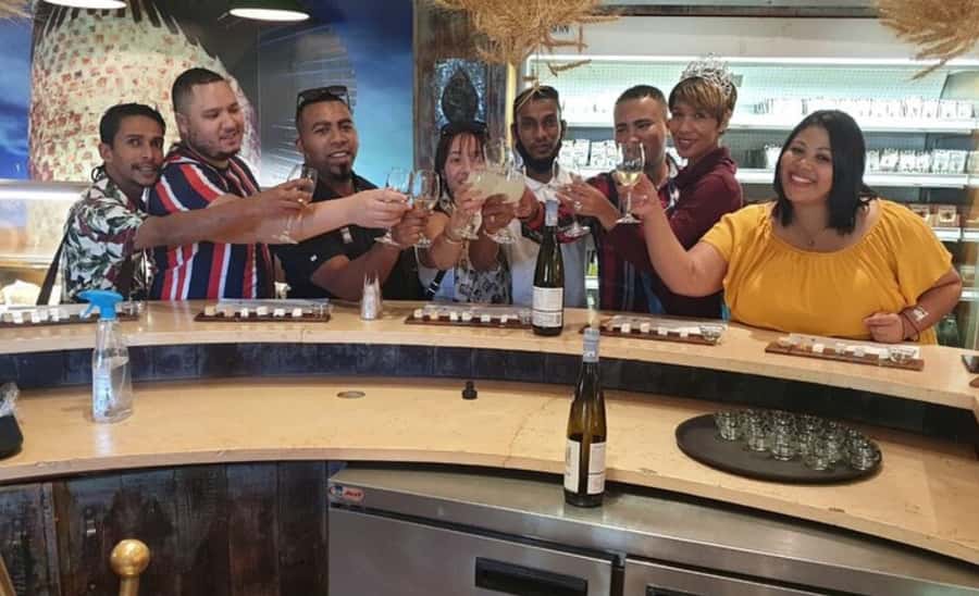 Stellenbosch: Half-Day Wine Tour - Morning or afternoon tour?
