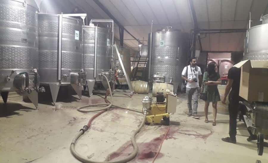 Stellenbosch: Half-Day Wine Tour - The optional Tanzanite and Diamond Tour