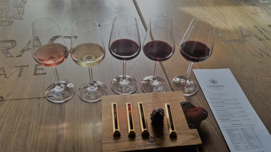 Stellenbosch: Historical Bike Tour & Wine Tasting - Who will enjoy this tour most