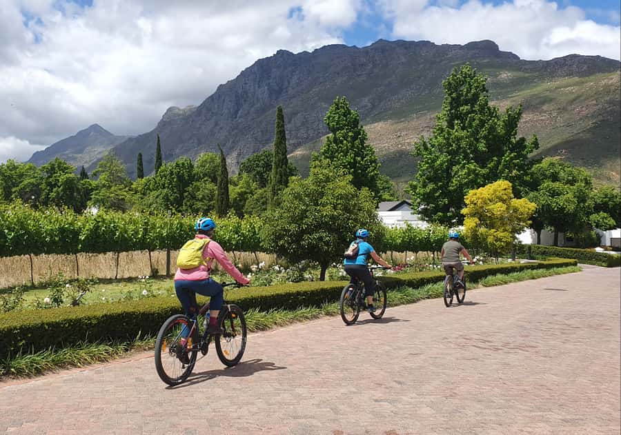 Stellenbosch: Historical Bike Tour & Wine Tasting - Bike choice, fitness, and practical comfort