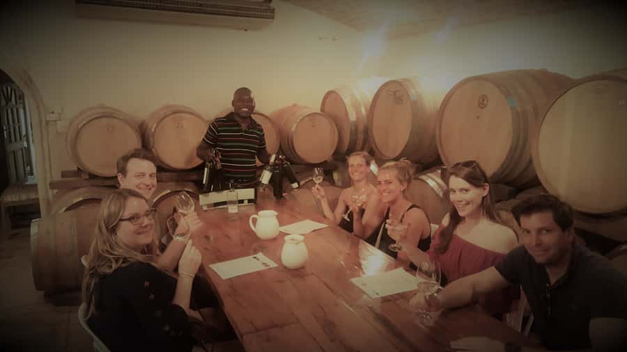 Stellenbosch: Hop-On Hop-Off Northern Route Wine Tour - Delheim for food pairings and lunch