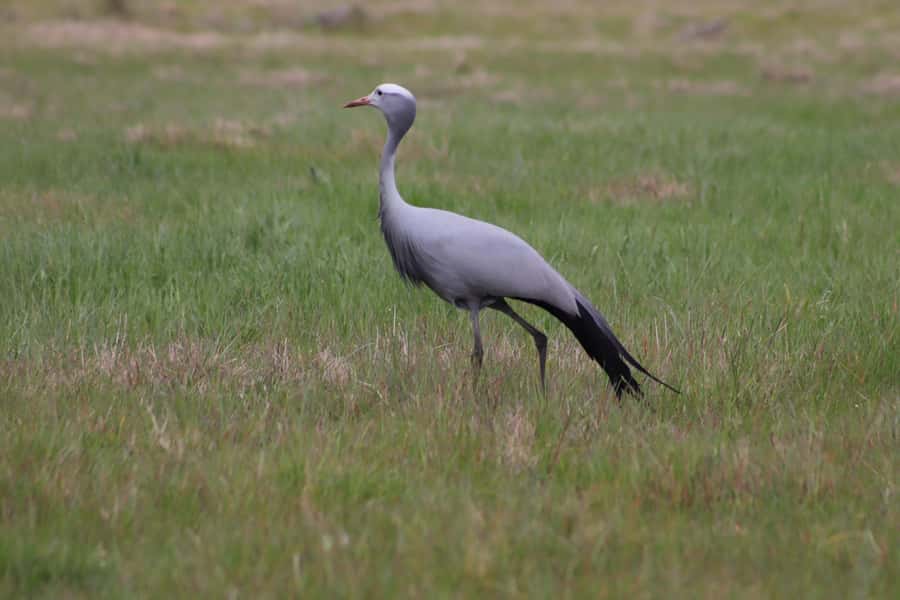 Stellenbosch: Horse Riding Wildlife Safari - What to wear and bring