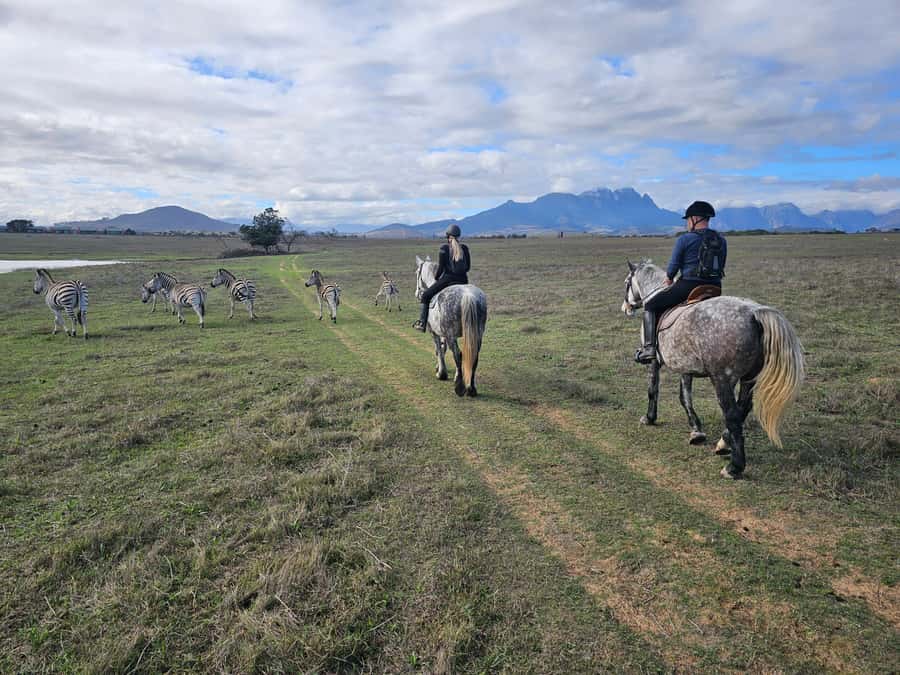 Stellenbosch: Horse Riding Wildlife Safari - Why the walking pace matters