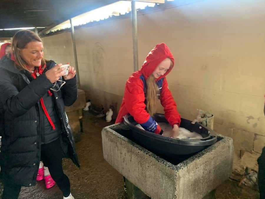 Stellenbosch: Khayamandi Township Walking Tour - Why Khayamandi adds something different to Stellenbosch