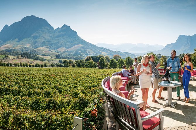 Stellenbosch, Paarl & Franschhoek Private Full Day Wine Tour - Delaire Graff and the polished side of wine country