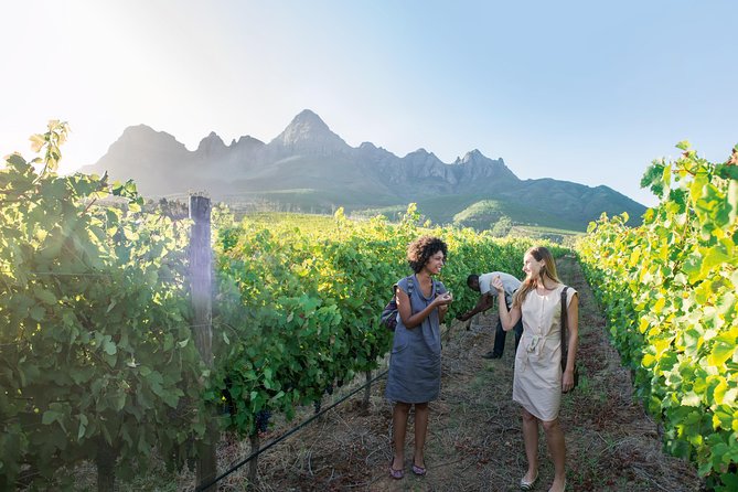 Stellenbosch, Paarl & Franschhoek Private Full Day Wine Tour - Franschhoek brings food and French influence