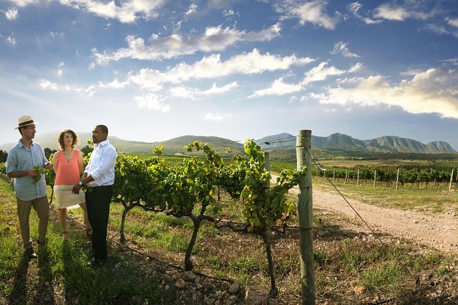 Stellenbosch, Paarl & Franschhoek Private Full Day Wine Tour - Fairview’s wine and cheese finish