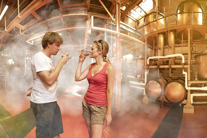 Stellenbosch, Paarl & Franschhoek Private Full Day Wine Tour - What the private format is really worth