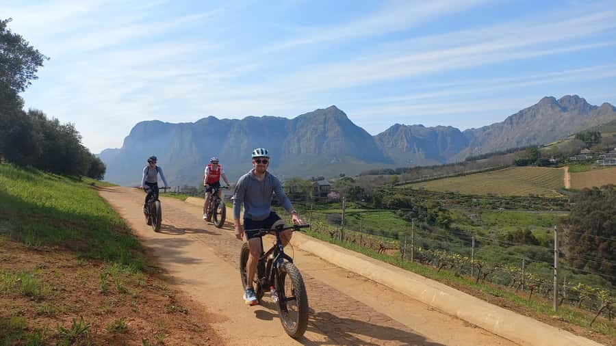 Stellenbosch: Stellenbosch E-Bike & Wine Tour (Shared Tour) - Two estates, two sides of wine country