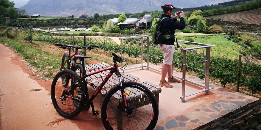Stellenbosch: Stellenbosch E-Bike & Wine Tour (Shared Tour) - The views are the quiet star