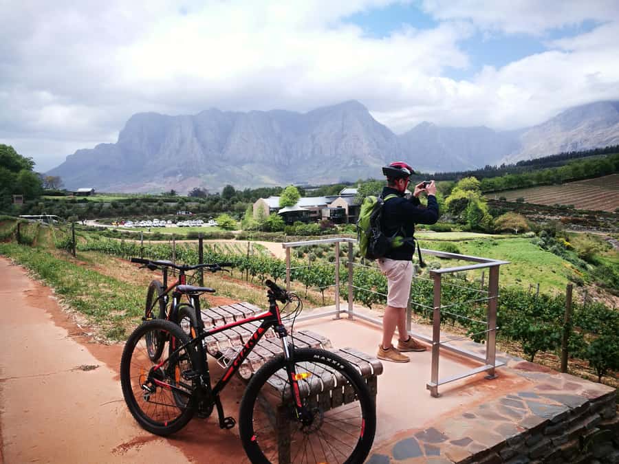 Stellenbosch: Stellenbosch E-Bike & Wine Tour (Shared Tour) - A closer look at the four-and-a-half-hour rhythm