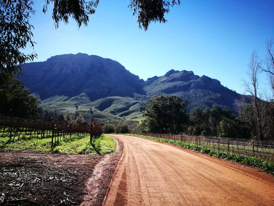 Stellenbosch: Stellenbosch E-Bike & Wine Tour (Shared Tour) - Why the e-bike changes the day