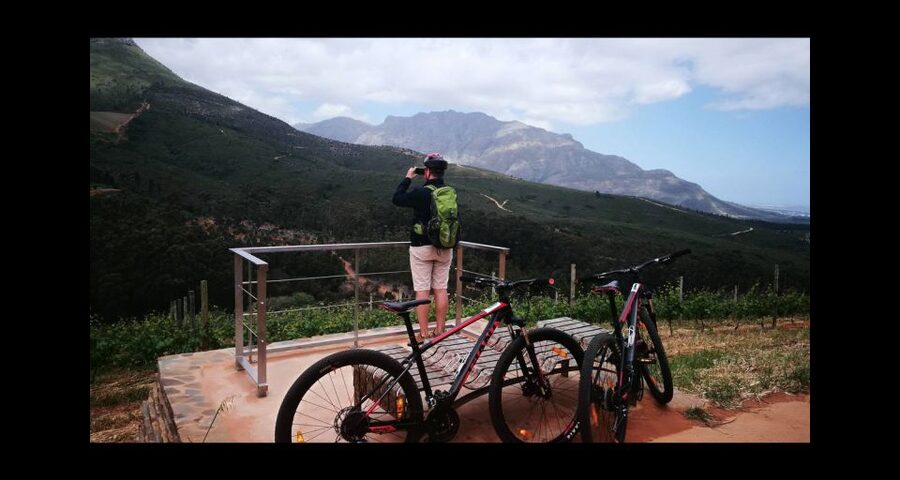 Stellenbosch: Stellenbosch Private E-Bike & Wine Tour - What four and a half hours feels like
