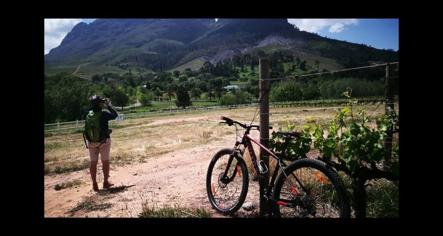 Stellenbosch: Stellenbosch Private E-Bike & Wine Tour - Is $186 per person fair?