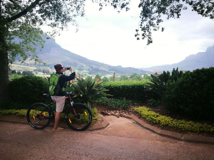 Stellenbosch: Stellenbosch Private E-Bike & Wine Tour - Who should book this experience?