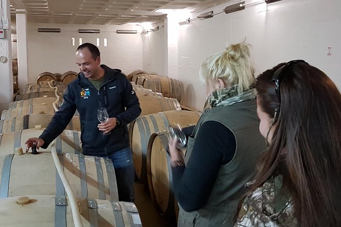 Stellenbosch Valley. Private wine tour with winemaker in Swedish or English. - Who will enjoy this tour most