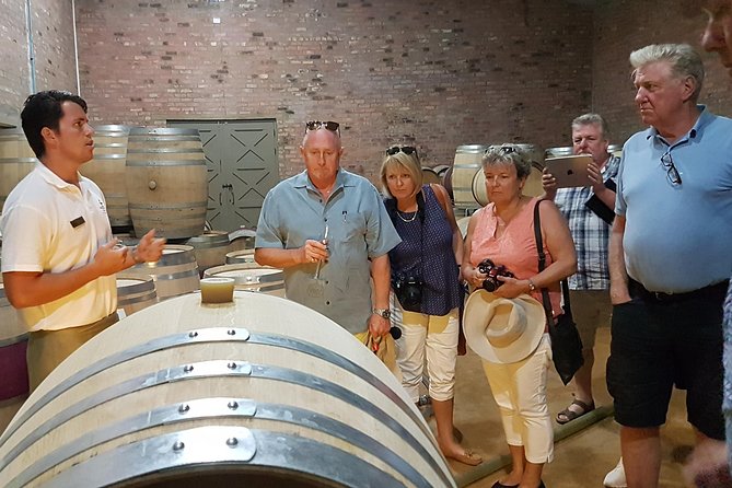Stellenbosch Valley. Private wine tour with winemaker in Swedish or English. - The first estates: comparing different wine styles