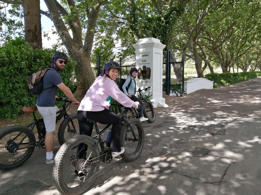 Stellenbosch: Wine Farm E-Bike Guided Tour - Why an e-bike is the right way to see Stellenbosch